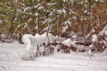 Снежные заносы в лесу. / Зима 2019. 26.Февраль. снежные зарисовки в лесу.