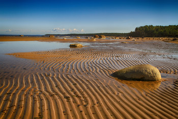 Линии отлива / Финский залив