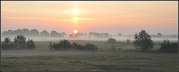 Утро. / Утренний туман в пойме реки Клязьма.