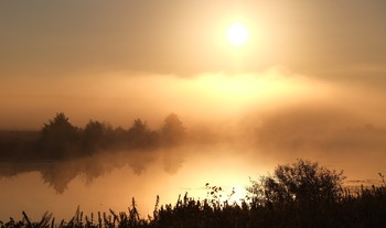 И туман, и солнце. / Утренний туман на озере Сосновое. Осень.