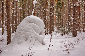 Природа лучший скульптор и художник. / Зима 2019.Г 1.Марта. Снежные скульптуры в лесу! Творение Природы! Человеческая скульптура смотрит направо.