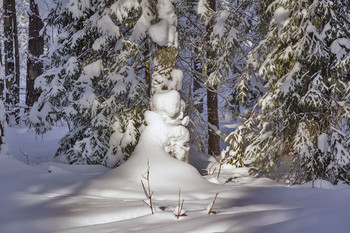 зима 2019.год. февраль-март. / снежные зарисовки в лесу.