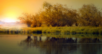 Рано утречком... / на озерке