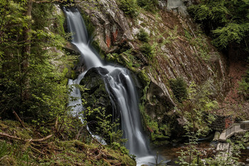 Водопад Триберг (Triberger Waterfall) / Водопад Триберг (Triberger Waterfall)