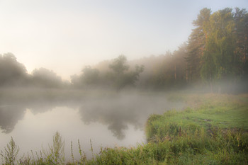 &nbsp; / Августовские туманы