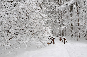 Без названия / Без названичя