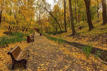 Осень в Нескучном саду / Москва, осень, толстый ковер листьев покрывает дорожки и тропинки нескучного сада.