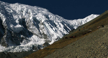 Тиличо-Пик / Непал. Гималаи