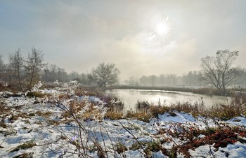 &nbsp; / Солнце пробилось сквозь туман.