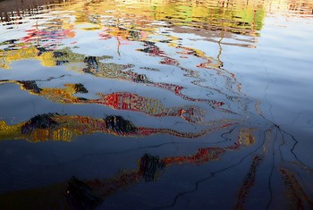 Призрачно все / СПб, Новая Голландия