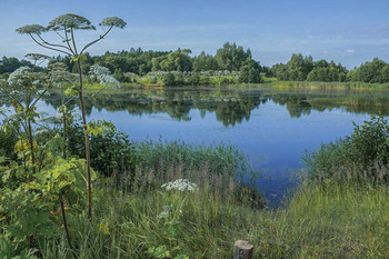 &quot;Гляжу в озёра синие...&quot; / Озерцо в пригороде г.Конаково.