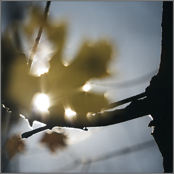 Призрачно все / лист