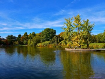 Гамбург. Ботанический сад / Альбом «Гамбург. Парки, вересковая долина, дюны»:
http://fotokto.ru/id156888/photo?album=75053#pageUp