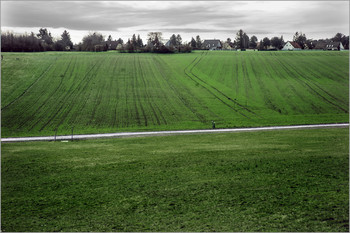 &nbsp; / Природа и животные