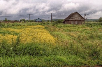 Лето / Деревня