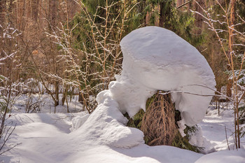ВЕСНА В РАЗГАРЕ. В ЛЕСУ ЕЩЕ МОЖНО ВСТРЕТИТЬ СНЕЖНЫЕ ЗАРИСОВКИ. / СНЯТО 13.МАРТА. 2019.Г ЕСЛИ 14.ЯНВАРЯ ПО СТАРОМУ НОВЫЙ ГОД. ТО ЗНАЧИТ 14. МАРТА ПО СТАРОМУ ТОЛЬКО НАЧИНАЕТСЯ ВЕСНА. ШУЧУ. ЧЕЛОВЕЧЕСКАЯ ГОЛОВА СМОТРИТ НАЛЕВО.