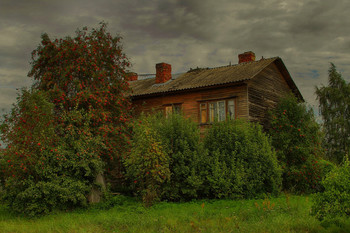 Рябина у дома / Осень