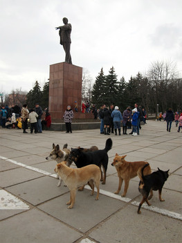 Видимо невидимо / Oooooo