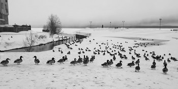 Видимо невидимо / Карелия, Петрозаводск