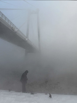 Видимо невидимо / В сильные морозы подкормить большую популяцию зимующих у нас уток около Виноградовского моста в Красноярске приходит много горожан.