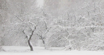 Замело / Снегопад в Москве