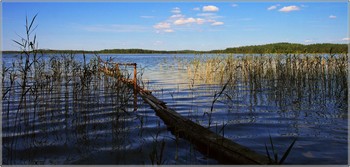Озеро Белое / Озеро Белое в Россонском районе с прозрачной и чистой водой.