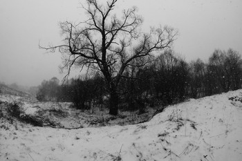 Возвращение зимы. / Весенний снегопад на Витьбе.