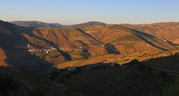 Свет и тени долины Дору / Долина реки Дору, где выращивают виноград для португальских портвейнов.