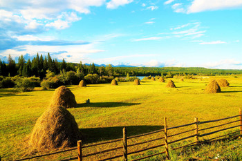 Август / Тункинская долина