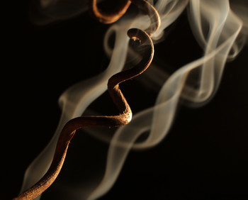 ДНК / Виноградная лоза и дым.
Фотограф: Александр Шаварёв