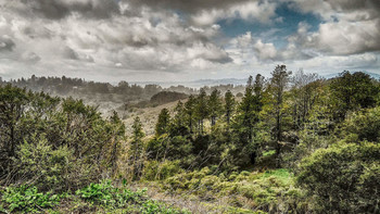 Пейзаж с холмами / Калифорния