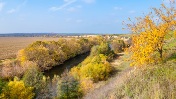 Осень на реке Кшень. / Зимние пейзажи растаяли и приходится возвращатся к архивам.