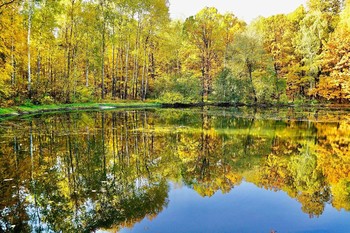 Осень, прозрачное утро... / осень, утро, пейзаж, лес, озеро, деревья, вода, отражение,