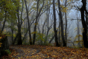 Там, за туманами....... / Железноводск. Октябрь