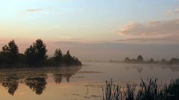 Озеро Сосновое. / Озеро Сосновое. Утро.