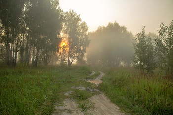 Дорога уходит в туман.... / Раннее утро, мокрая дорога пропадает в тумане...