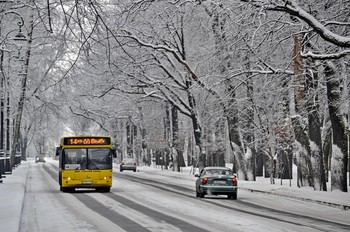 Городские маршруты / Желтый автобус