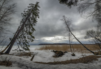 Весеннее напряжение / хмурая весна
