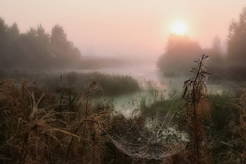 In the realm of cobwebs / --------------