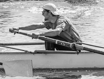 &nbsp; / регата