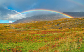  / Rainbow