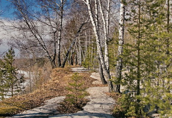 Весенний день. / Томская область.
