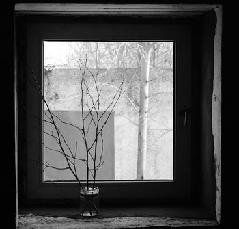 Весенний квадрат. / Вид из окна .