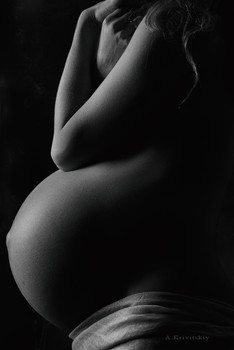 Profile of the pregnant body. Art Studio A. Krivitsky / Profile of the pregnant body. Art Studio A. Krivitsky