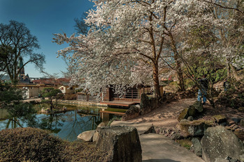 В весеннем саду / В весеннем саду
