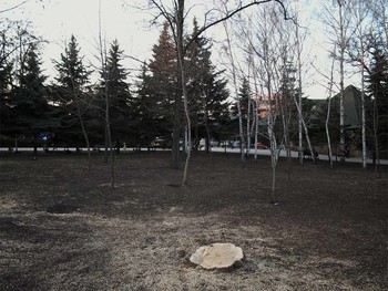 polkjhgfd / Ascftgbhj