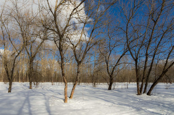Весенний день / Март
