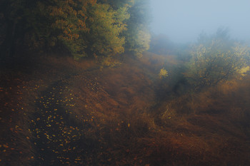 ... про осень. / туман