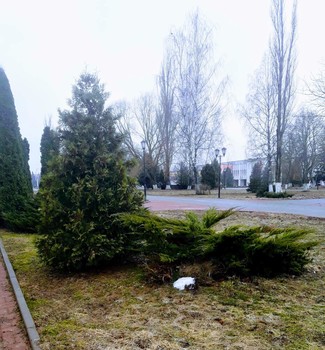 ВЕСНА В ГОРОДСКОМ ПАРКЕ / ВЕСНА В ГОРОДСКОМ ПАРКЕ