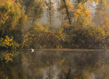 Рассвет на Десёнке / Киев